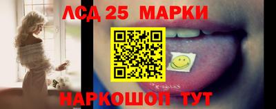 прущие грибы Жуковский