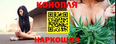 ALPHA PVP Заволжье