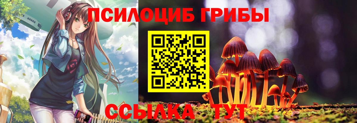 Псилоцибиновые грибы MAGIC MUSHROOMS Кызыл