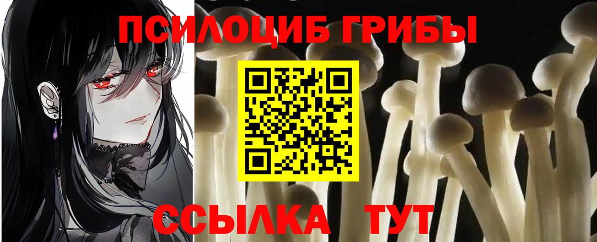 Галлюциногенные грибы Magic Shrooms  Вход с VPN  Галлюциногенные грибы мухоморы  Кызыл 